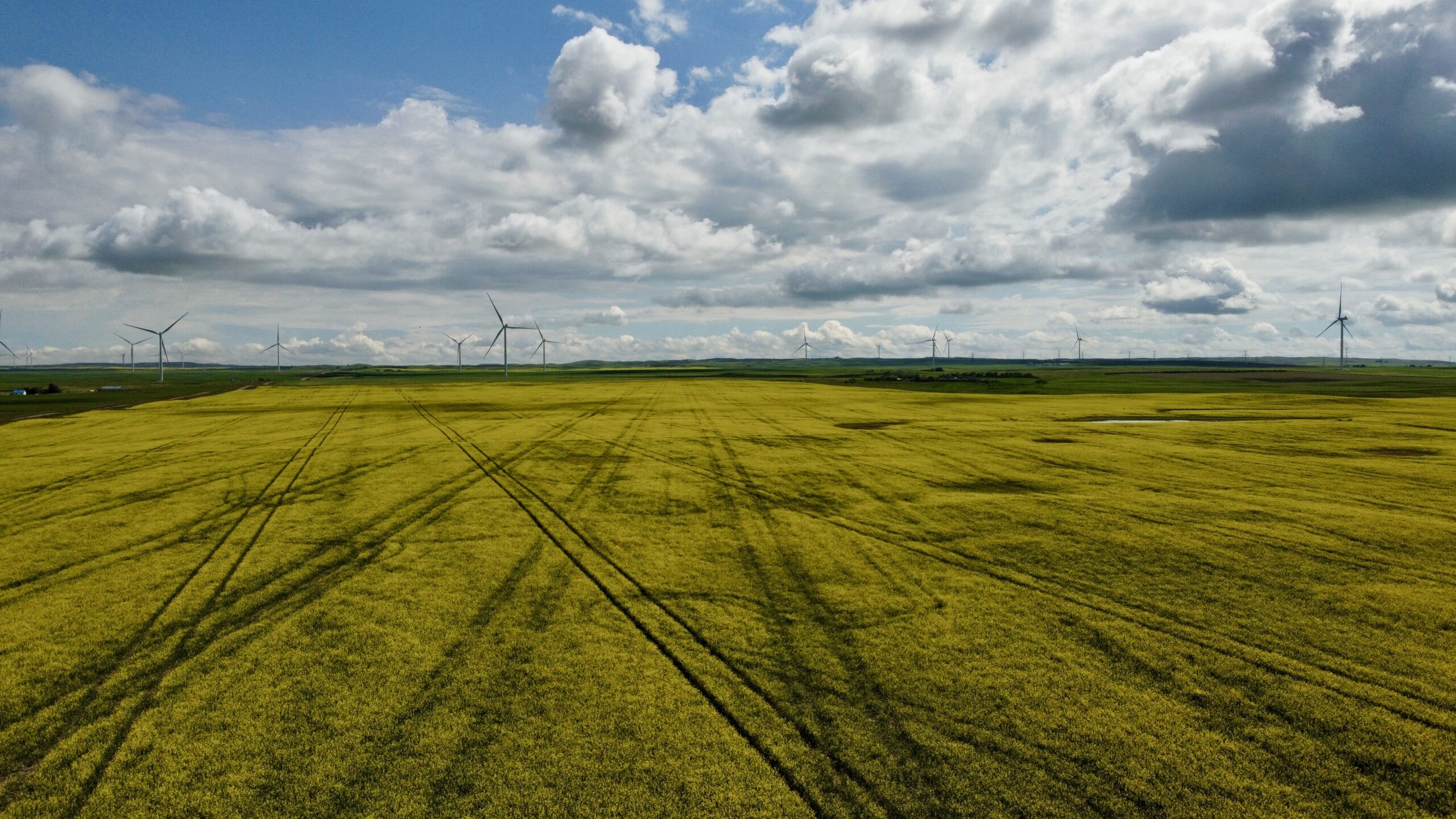 Alberta Energy Storage Project Acquisition